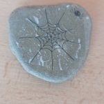 phoca_thumb_m_duikov den  1 Fotogalerie